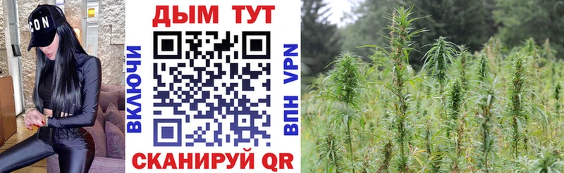 Виды наркотиков купить Сысерть КОКАИН  Меф  АМФ  Галлюциногенные грибы  Каннабис 